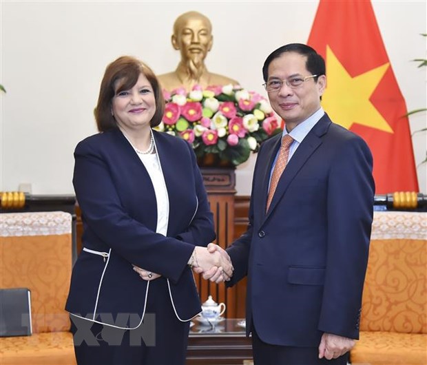 越南与埃及力争实现双边贸易额达到10亿美元的目标