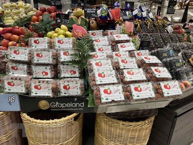 越南北江新鲜荔枝上架泰国大型购物中心