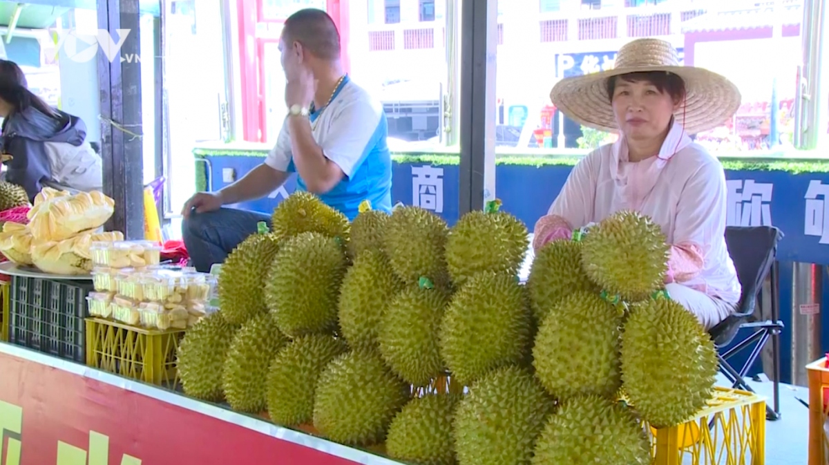 中国规划建设榴莲冷库及加工设施