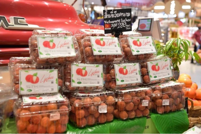 越南荔枝正式在泰国各大超市门店销售