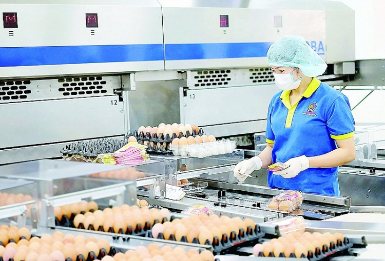 越南禽蛋已获得重新出口中国香港市场的许可