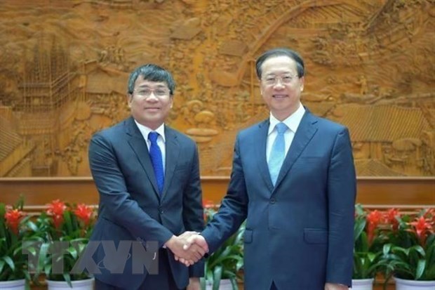 加强越中两国外交部的合作