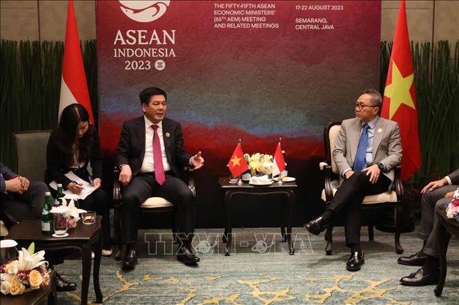 促进越南与印尼经贸合作关系