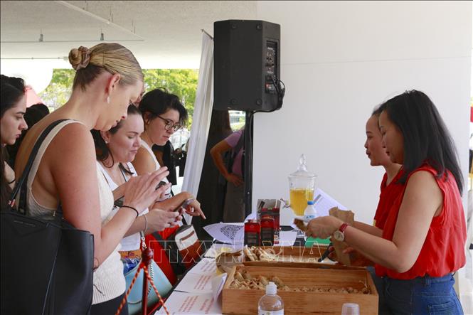 亚洲-大洋州文化与美食展：越南展位深受参观者关注