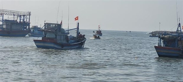 越南反对对越南渔船使用的武力行为