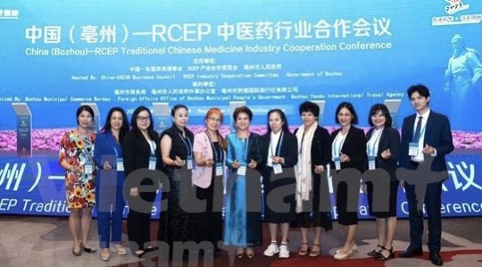越南出席中国—RCEP中医药行业合作会议