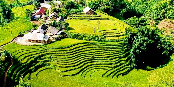 亚洲绝佳秋季打卡地排行榜出炉：越南芹苴和沙坝榜上有名