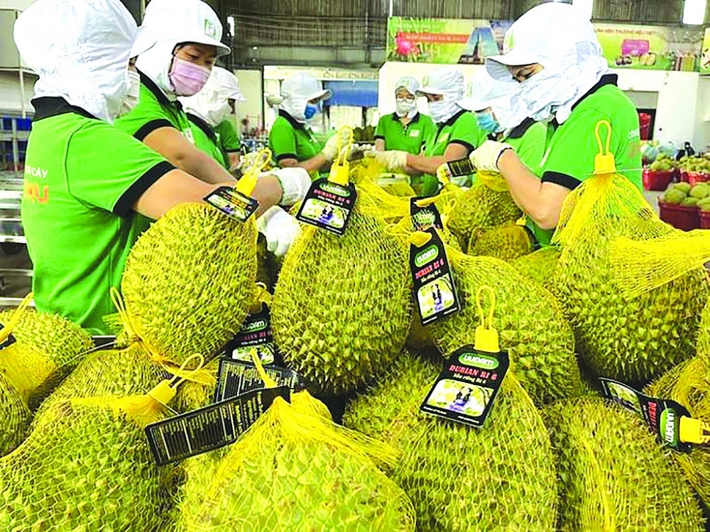 今年前9个月越中双边贸易总额超1200亿美元