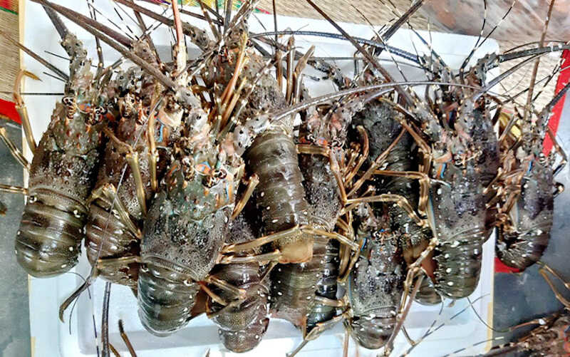 中国是越南龙虾最大的出口市场