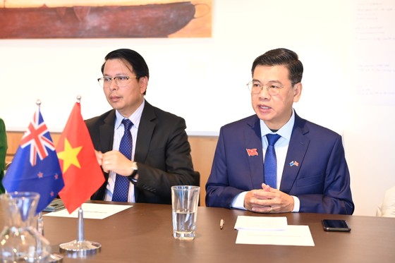胡志明市与新西兰惠灵顿加强智慧城市建设合作
