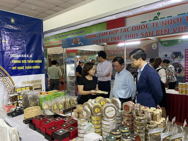 促进河内市与乂安省企业对接寻找商业机会