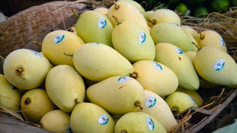 越南是韩国第三大芒果供应市场