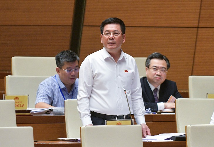 越南国会11月6日下午就经济领域进行质询