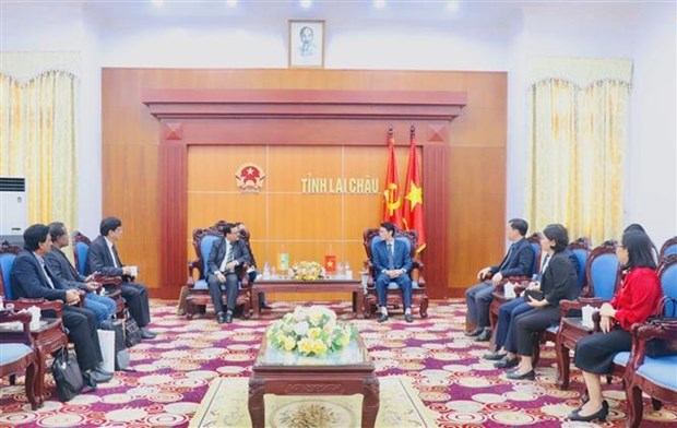 越南莱州省加强与印度各地的合作关系