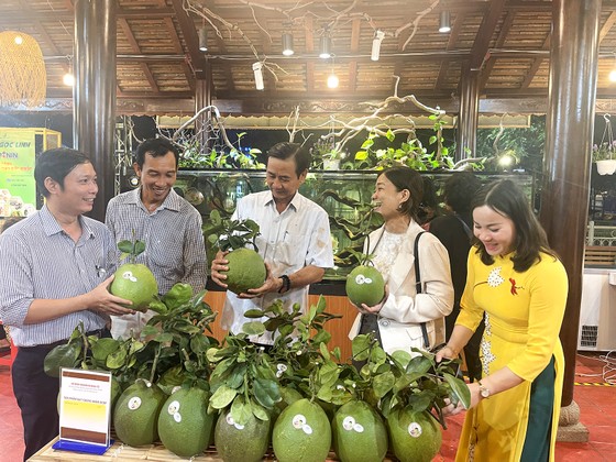 胡志明市“一乡一品”产品给民众留下深刻印象