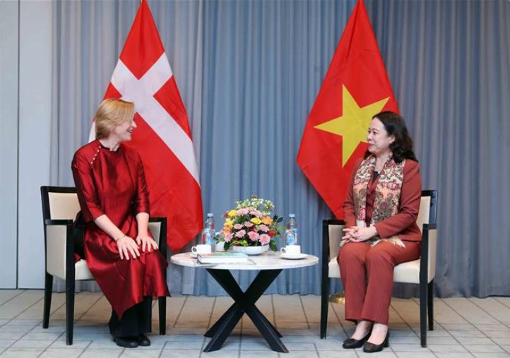 越南国家副主席武氏映春会见丹麦越南友好协会主席崔娜