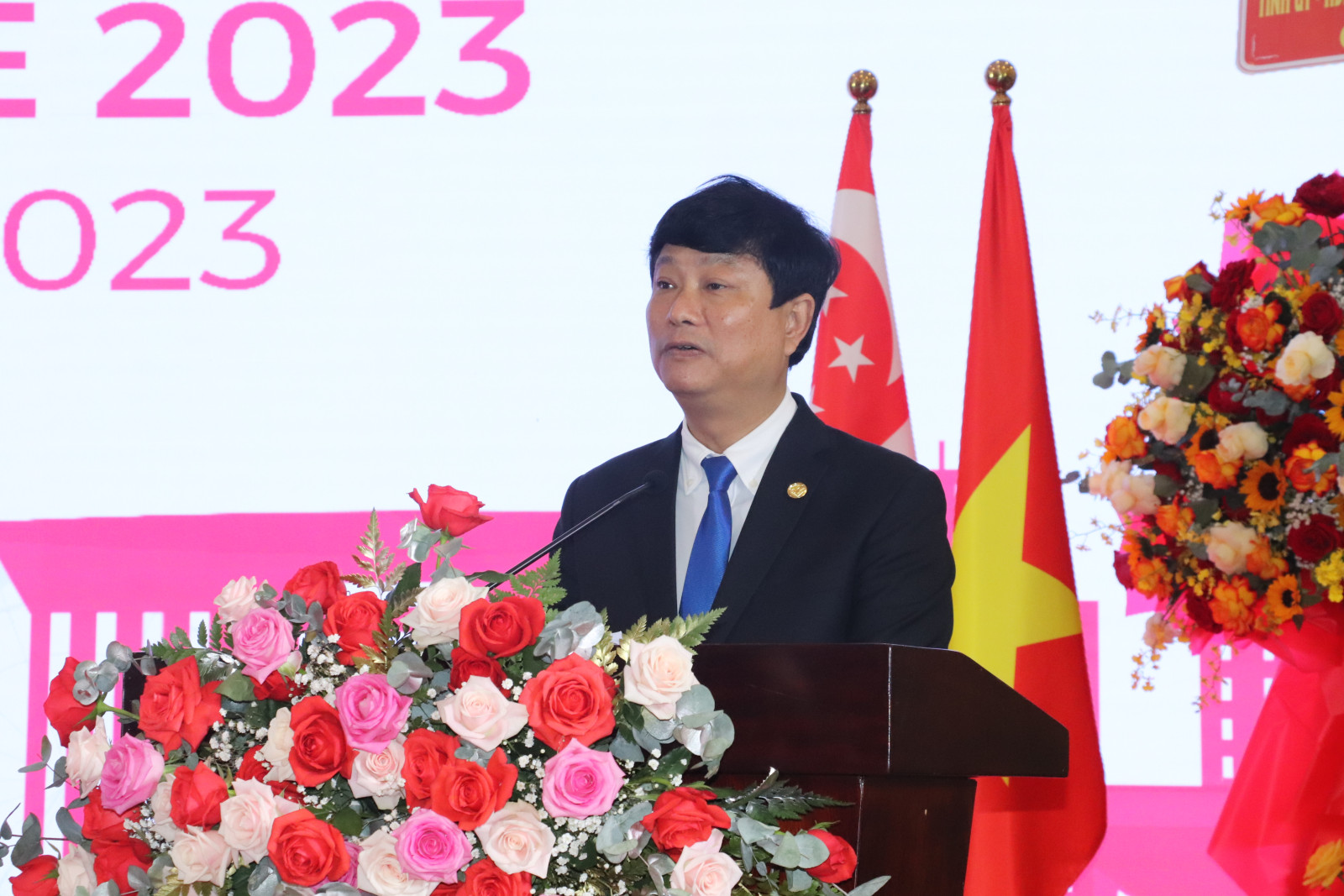 平阳省扩大与新加坡的投资合作