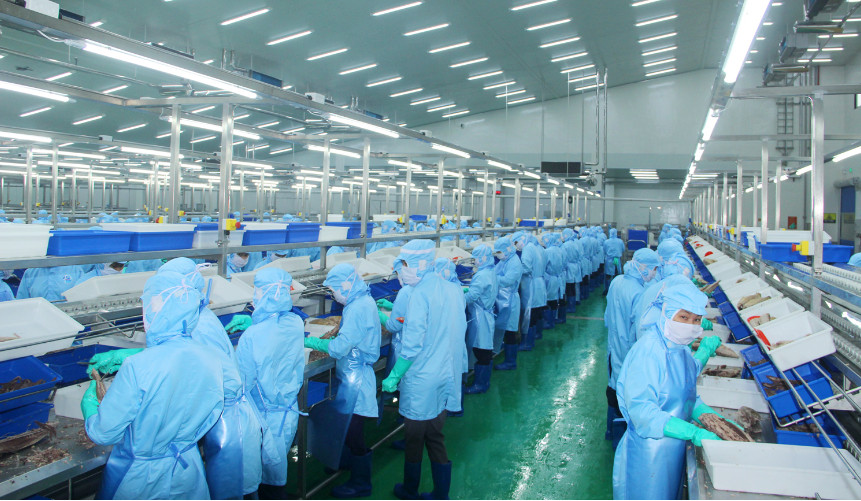 德国企业关注越南能源和农业领域