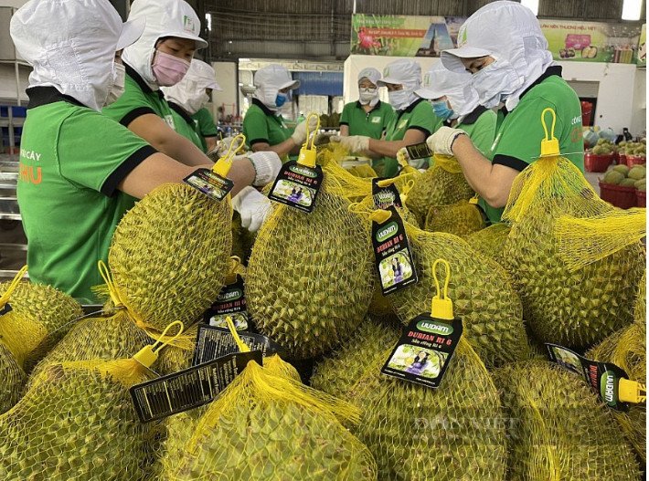 越南新鲜水果种植专区出口代码达近7000个
