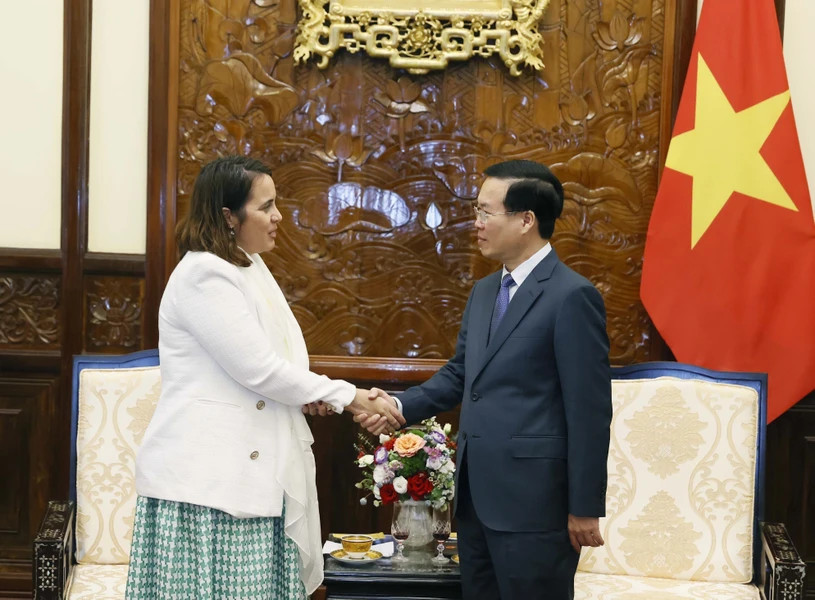 越南国家主席武文赏会见新西兰和秘鲁两国驻越大使