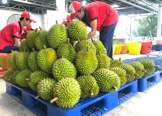 越南加工果蔬出口额首次突破10亿美元