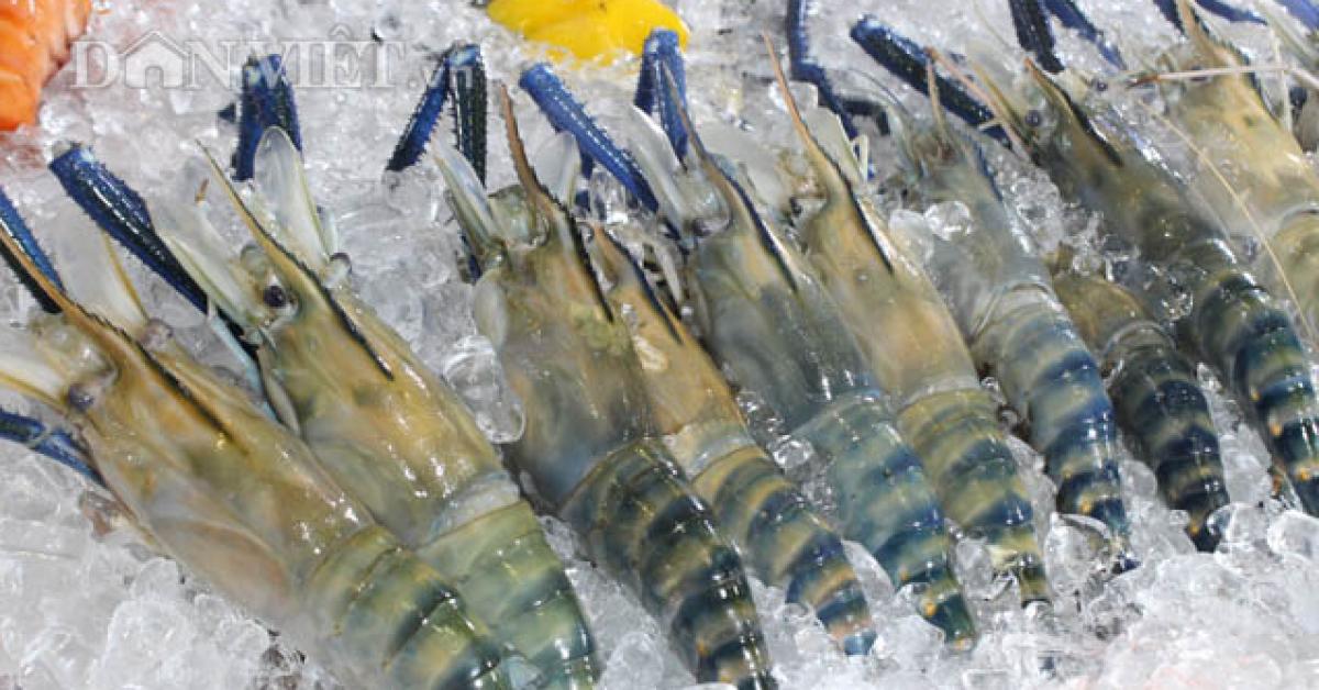 虾业面向出口总额达40亿美元的目标