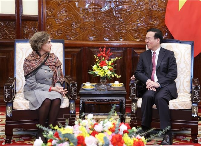 越南国家主席武文赏会见各国新任和离任驻越大使