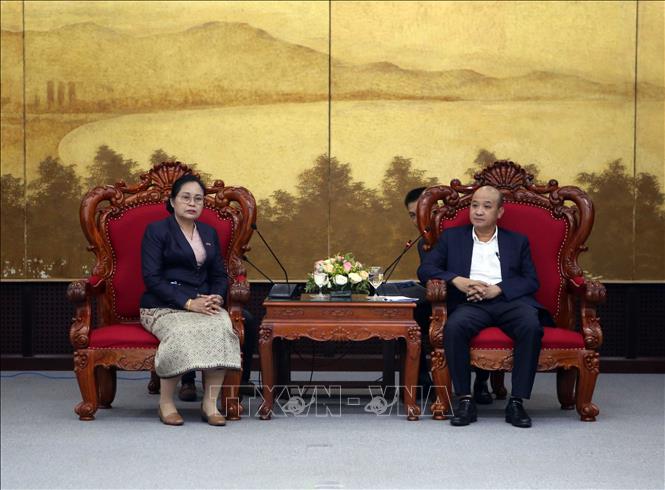 岘港市推进与老挝沙湾拿吉省的合作