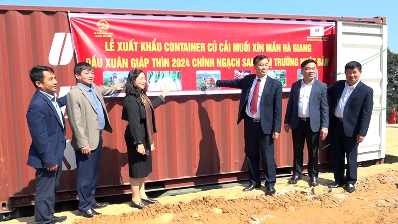 河江省向日本出口2024年首批腌萝卜