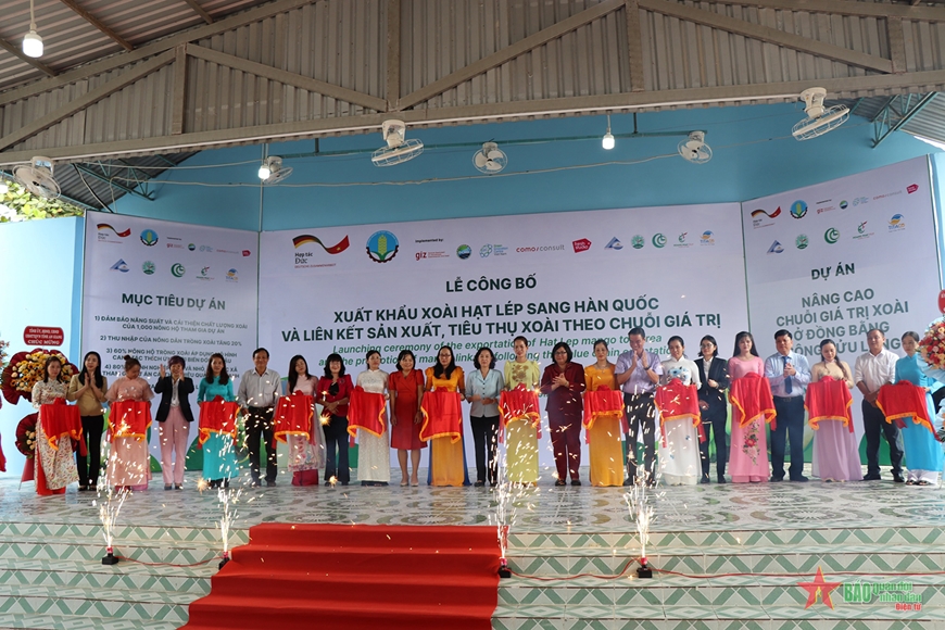 越南安江省向韩国出口首批扁籽芒果