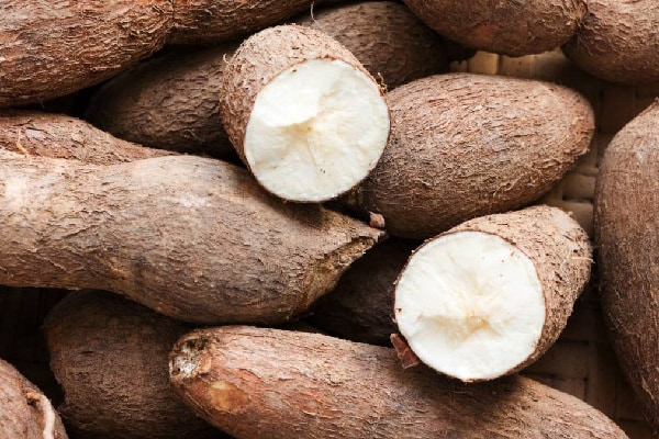 2024年1月份越南木薯出口额创新纪录