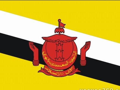 越南领导人向文莱领导人致国庆贺电