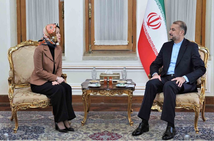 越南和伊朗促进各领域合作