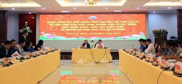 政府工作代表团莅临嘉莱省调研投资建设和出口情况