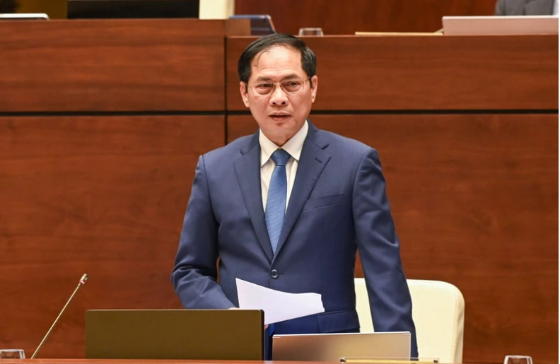 文化外交助力推广越南风土人情