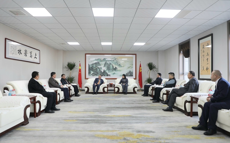 发挥侨商在经济外交工作中的作用