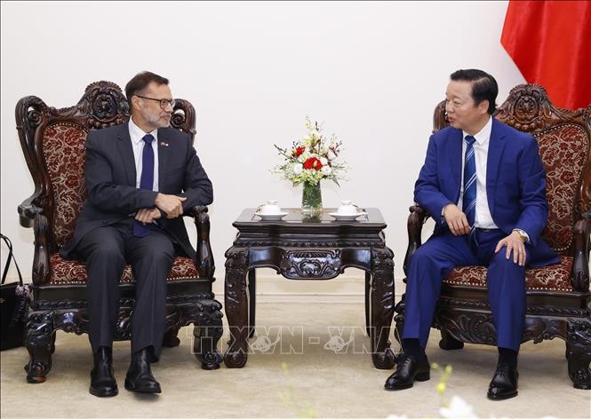 越澳合作落实海上风电开发项目