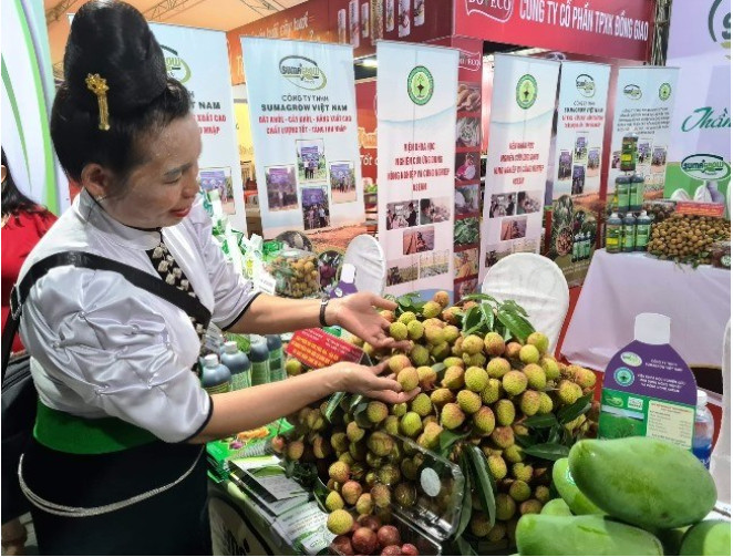 北部山区丘陵地区出口和贸易促进会即将举行