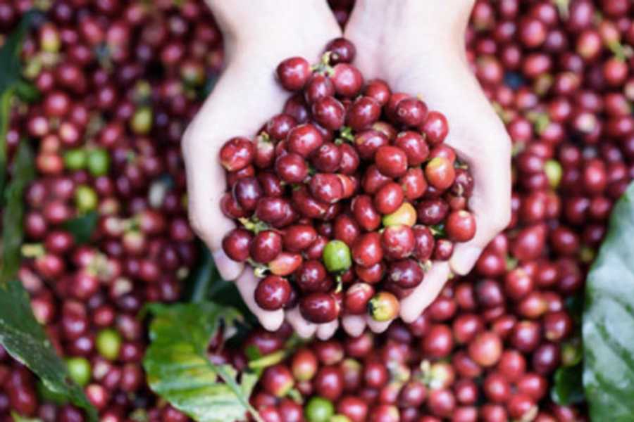 西原地区贸易促进与进出口发展会议即将举行