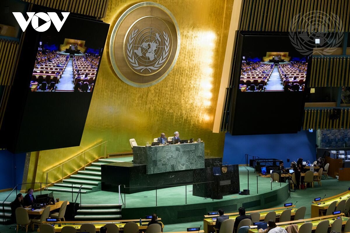 联合国大会通过将2026年定为国际女农民年的决议