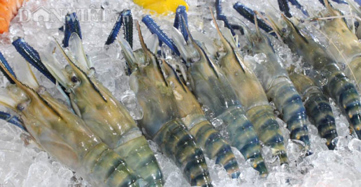 欧盟是越南虾类出口市场的亮点