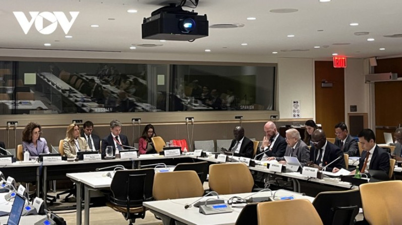 越南呼吁促进跨境水资源保护和可持续利用合作