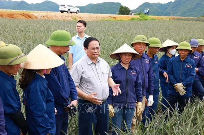 越南政府总理范明正莅临宁平省调研