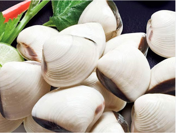 槟椥省蛤蜊获得美国MSC认证书