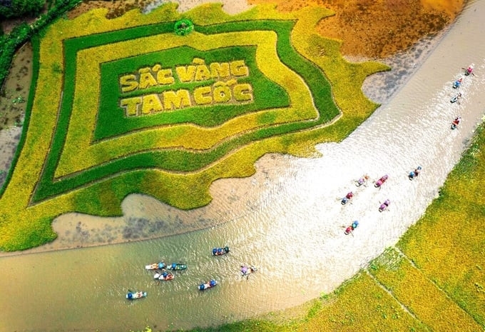 2024年宁平省旅游周举行在即