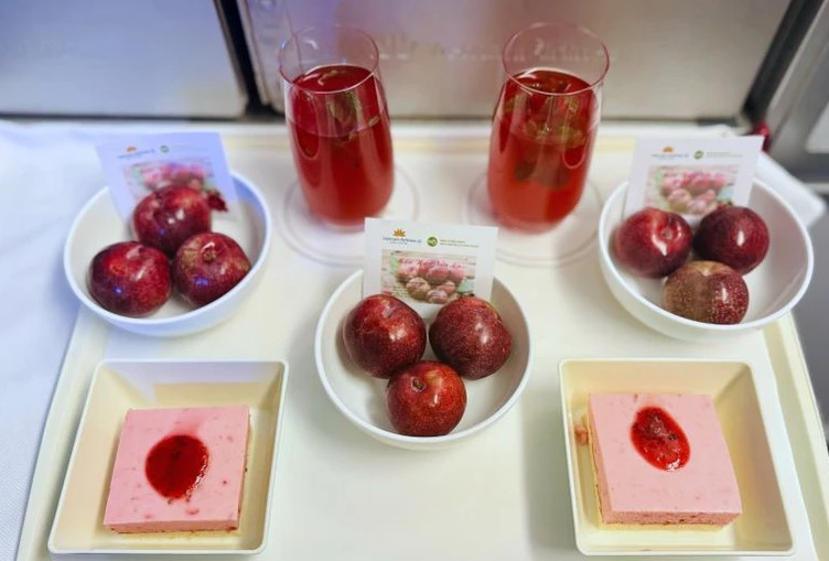 山罗李子乘“飞机”远销世界各国