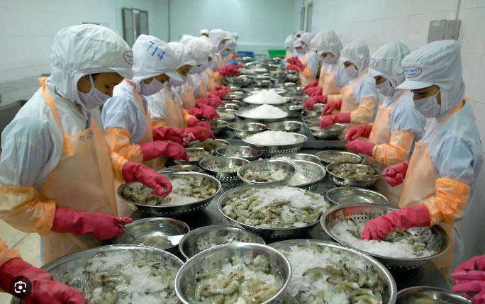 越南虾类出口额有望持续增长