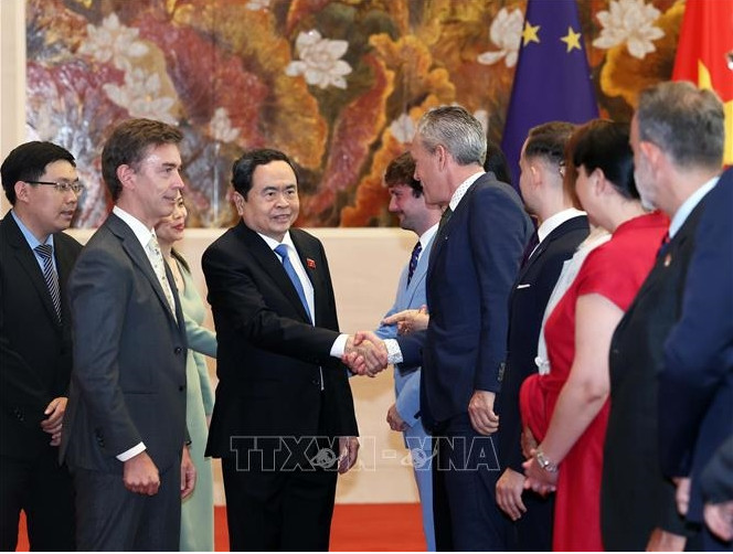 促进越南与欧盟及其成员国之间的合作关系