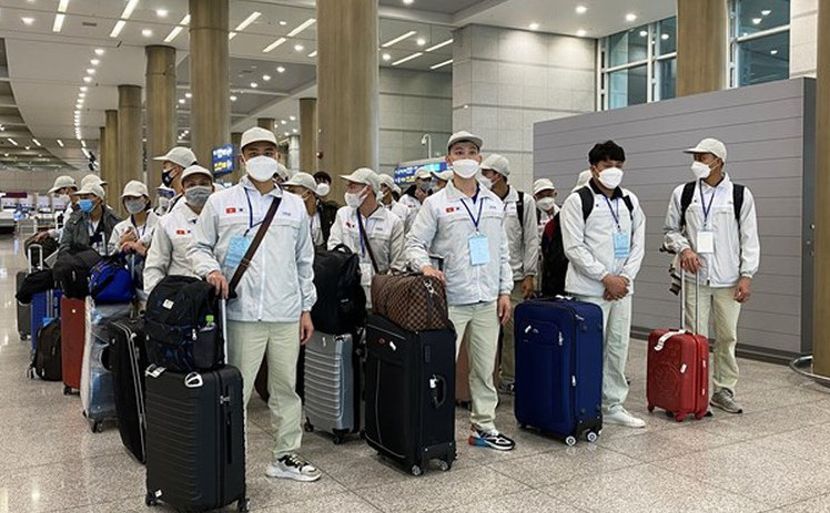 日本成为越南第一大劳务输出市场