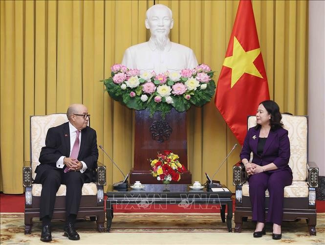 越南国家副主席武氏映春会见摩洛哥众议院秘书长纳吉布·哈迪